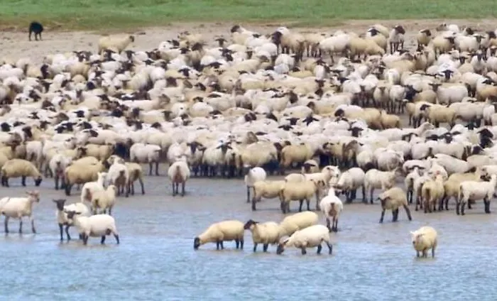 Ptit Somme En Baie Vakantiehuis Saint-Valéry-sur-Somme