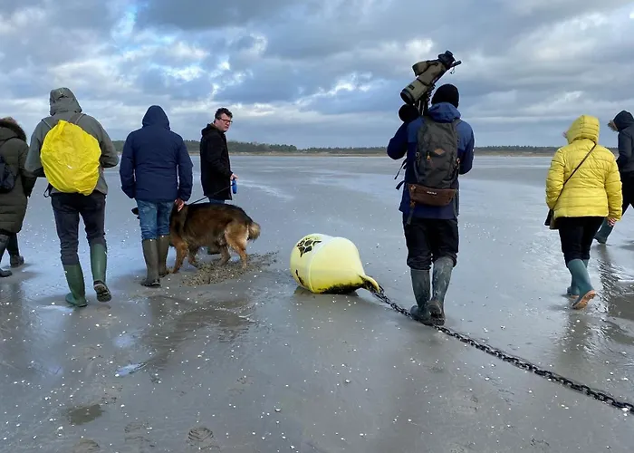 Ptit Somme En Baie Saint-Valéry-sur-Somme