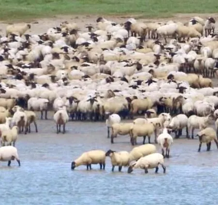 Ptit Somme En Baie Дом отдыха Сен-Валери-сюр-Сомм