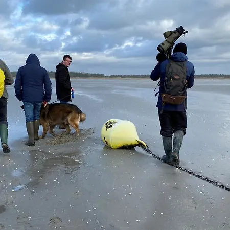 Ptit Somme En Baie Сен-Валери-сюр-Сомм